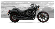 431b-8020-custom_186px.jpg