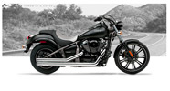 501-8020-custom_186px.jpg